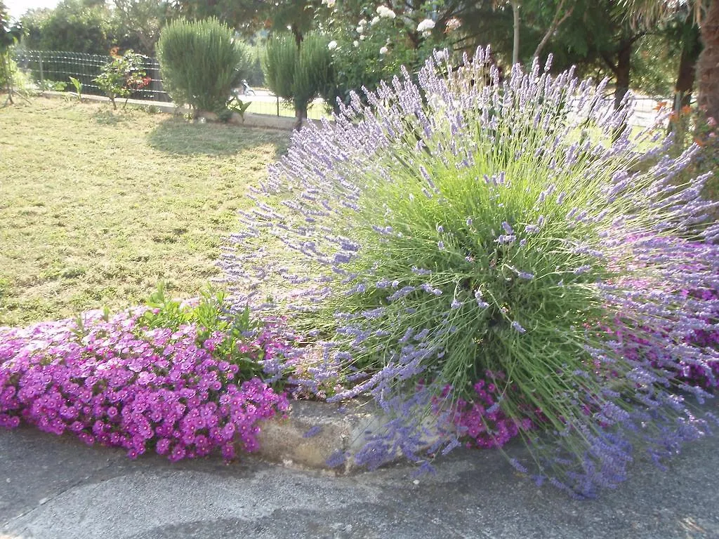 ***  Guest House Jasmin Rovinj Croatia